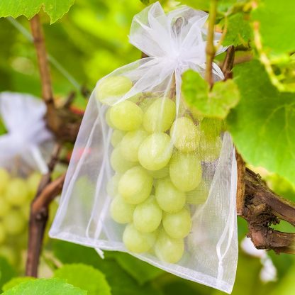 5 stuks Organza zakjes 26 x 35 cm - ecru - Afbeelding 2